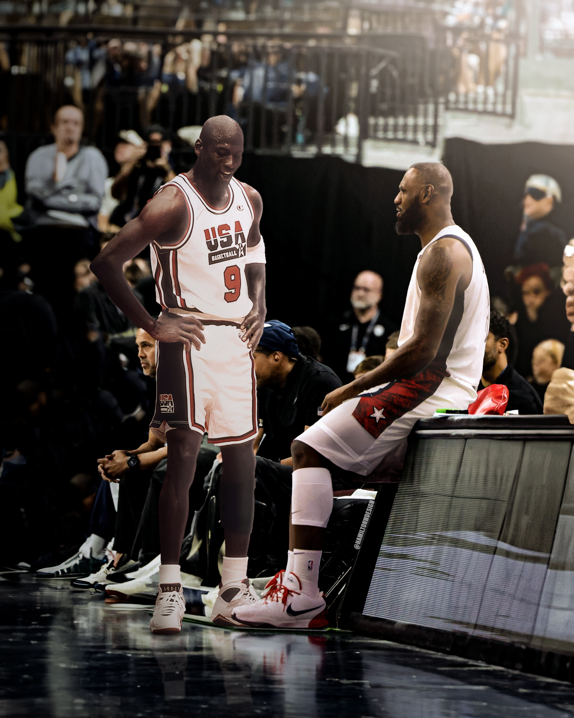 MJ x Lebron James Team USA