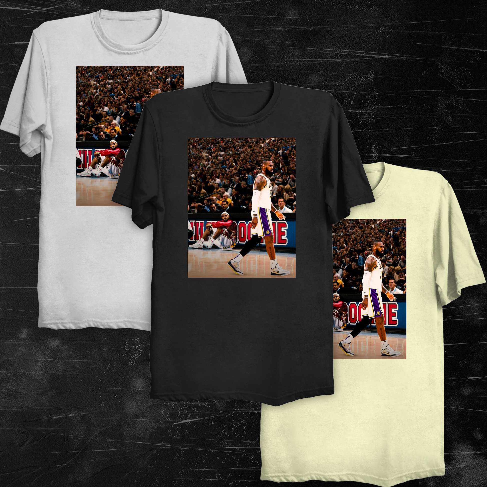 Lebron James Rookie and Vet