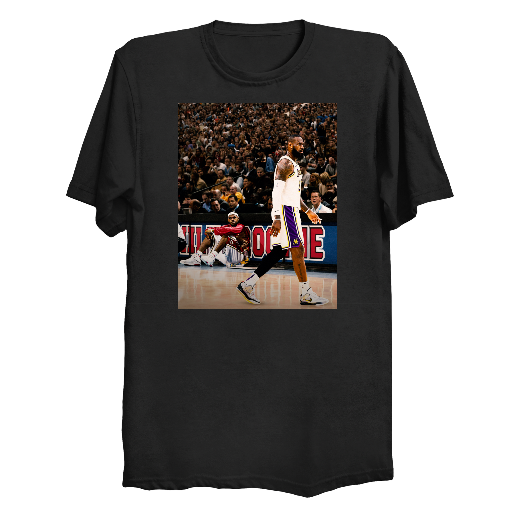 Lebron James Rookie and Vet