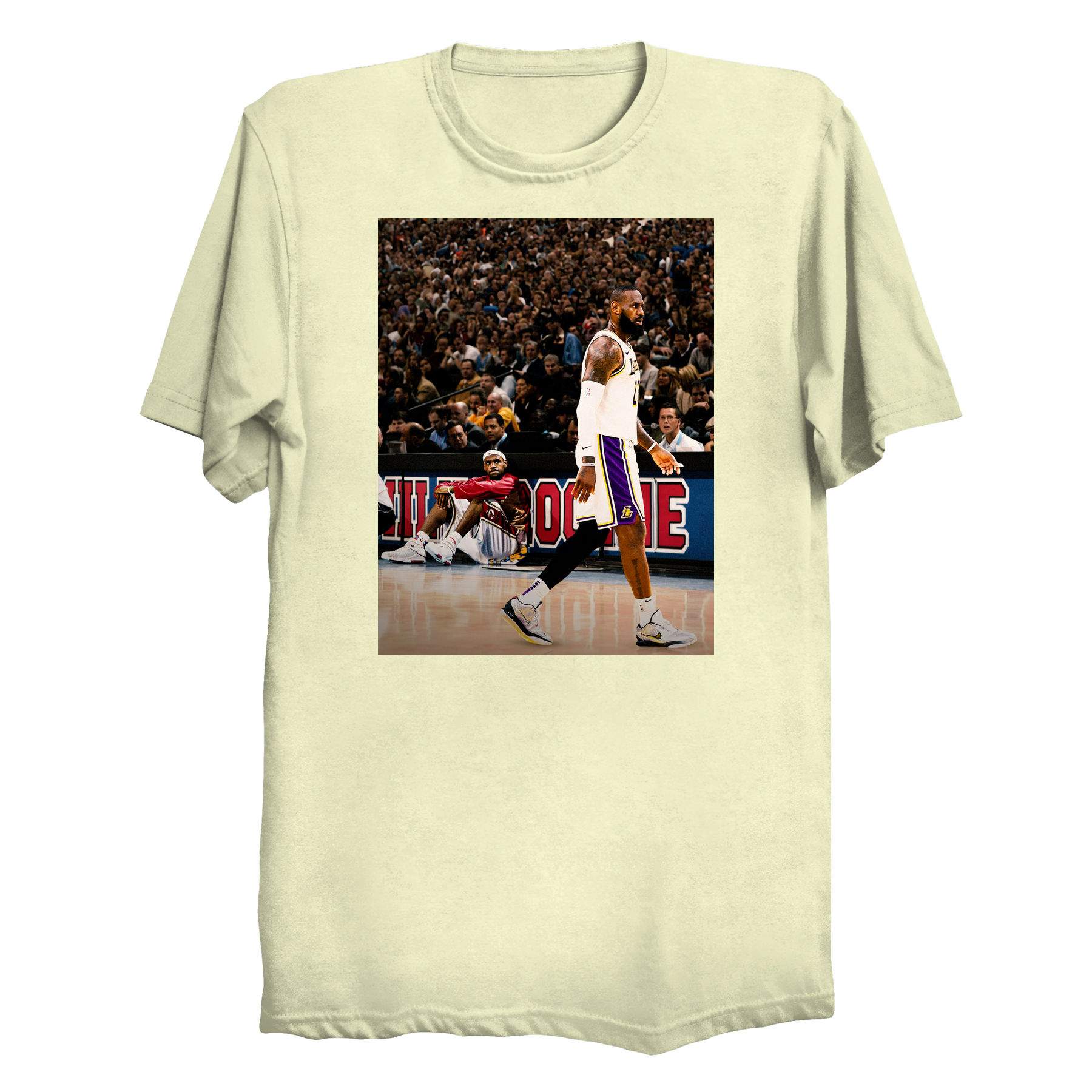 Lebron James Rookie and Vet