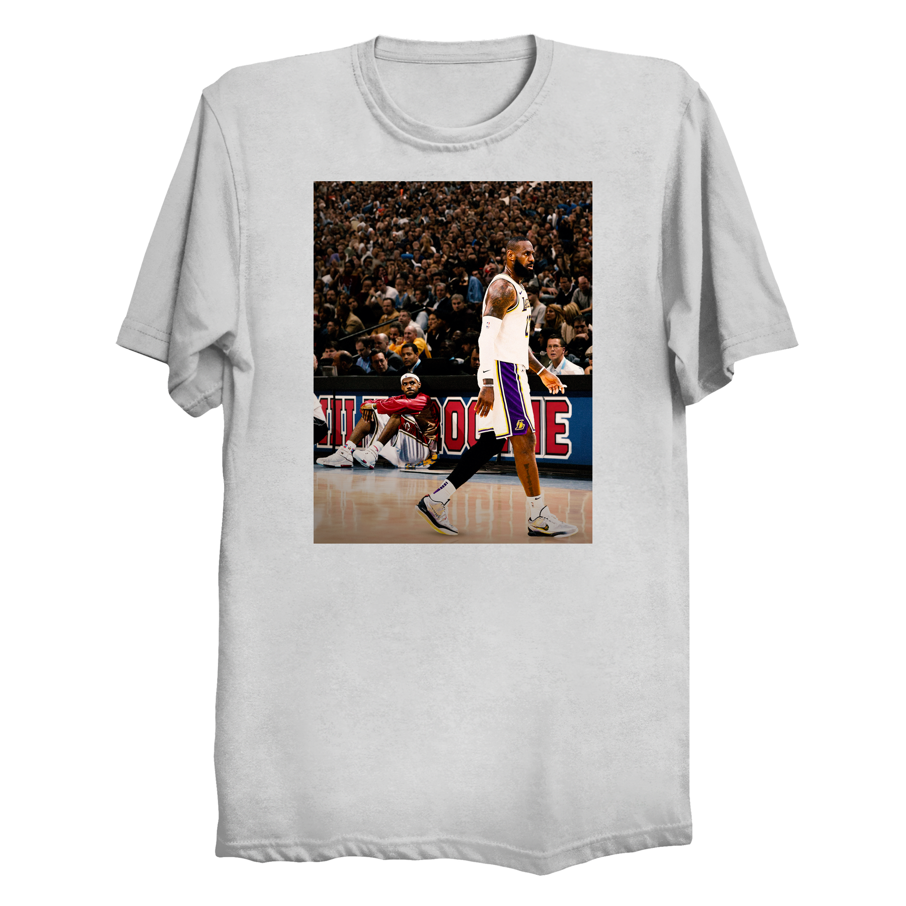 Lebron James Rookie and Vet